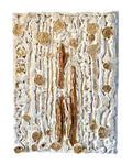 "Whispers of Earth" image 0