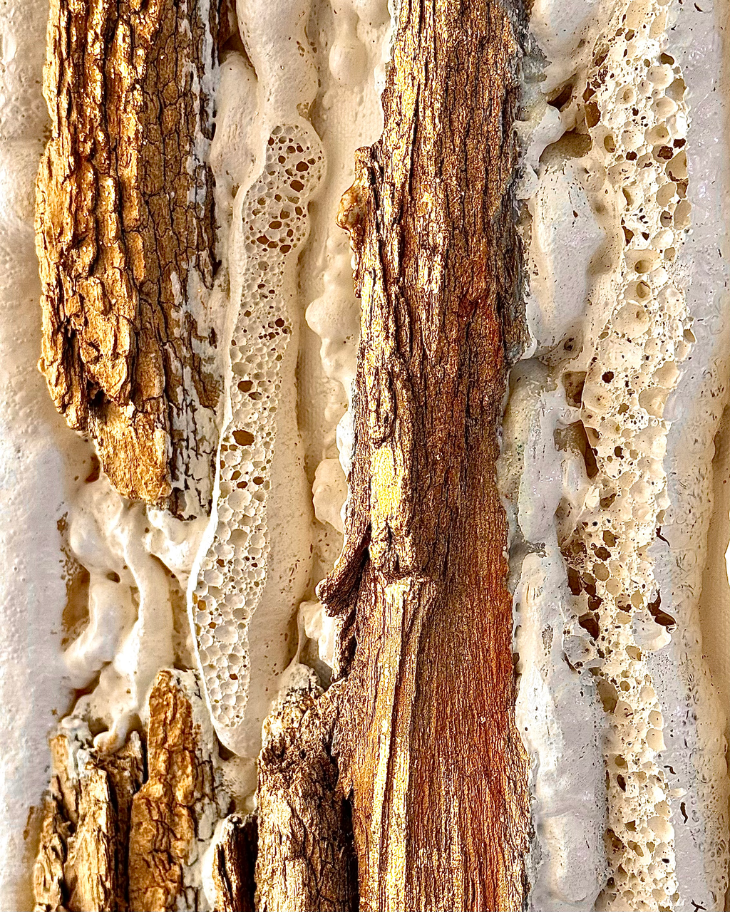 "Whispers of Earth" image 1