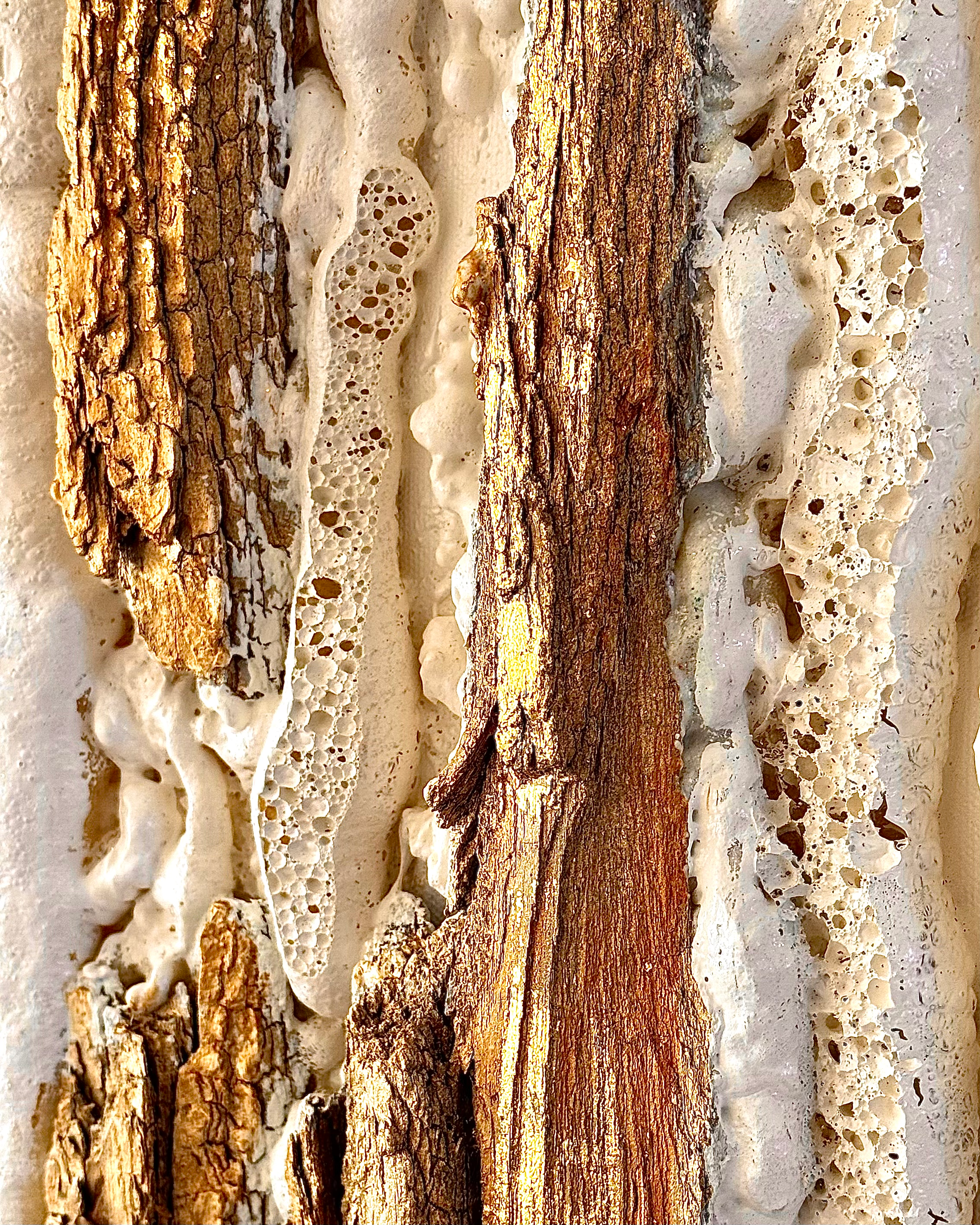 "Whispers of Earth" image 1